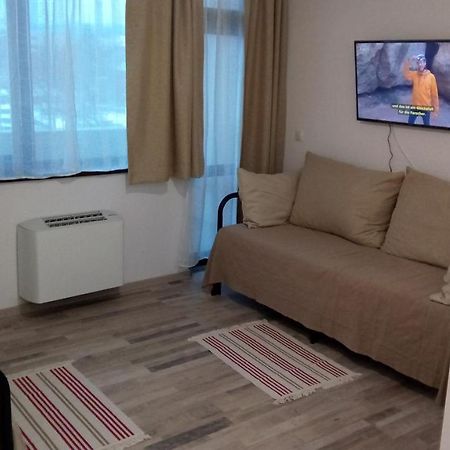 Khan Krum House & Apartments For Rent Elin Pelin エクステリア 写真